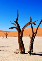 Deadvlei Namibia